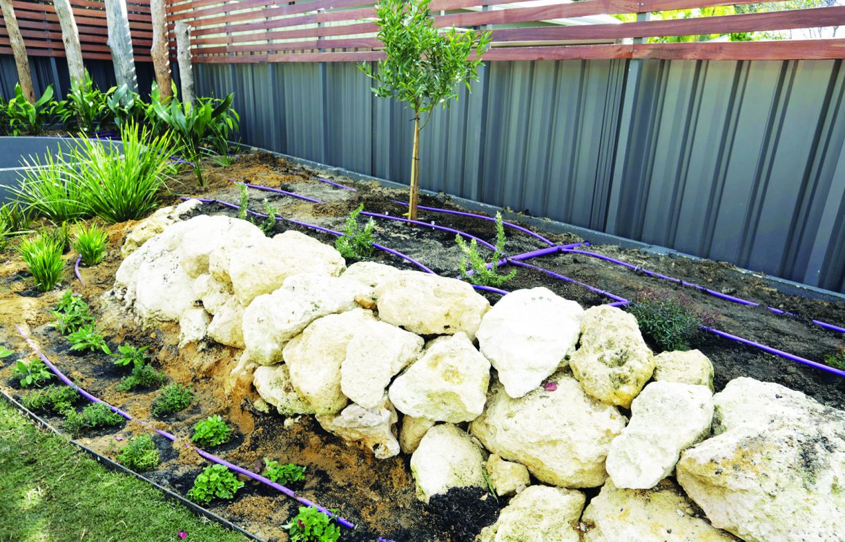Greywater is fed to the garden in Josh’s House (joshshouse.com.au) via a series of drip-feed lines. Here they can be seen before being covered with 100mm of mulch. Some states, such as WA, only allow sub-surface distribution of untreated greywater.
