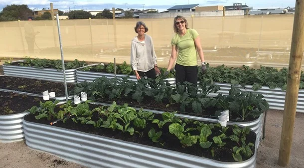 Large communal food gardens are already in place and providing fresh food for visitors and residents in the neighbouring estate. The garden is expected to produce over $130,000 of food each year when fully constructed.