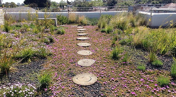 Green roof contractor Fytogreen was employed to lay the substrate, install the watering system and select and plant the grasses, groundcover and small shrubs that make up the rooftop park.