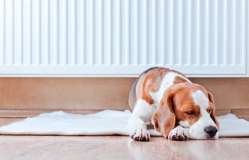 Beat the winter chills: A guide to electric heating options