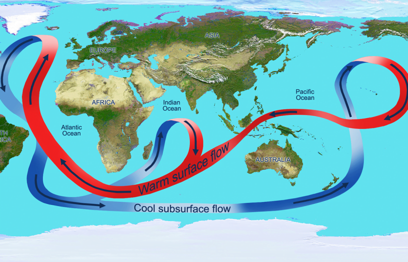 Figure 3. A depiction of the global ocean circulation. In the Atlantic Ocean, warm water travels north at the surface, while cooler water travels south at depth. Source: NASA
