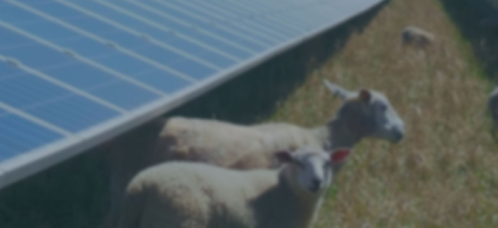 9/6/21 – Power to the People: Goulburn Community Energy Cooperative Dispatchable Solar Farm