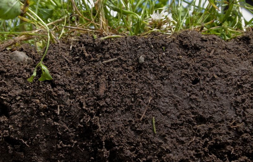 18/11/21 – Climate Change – Can Regenerating Soils and Landscapes Save the Day?