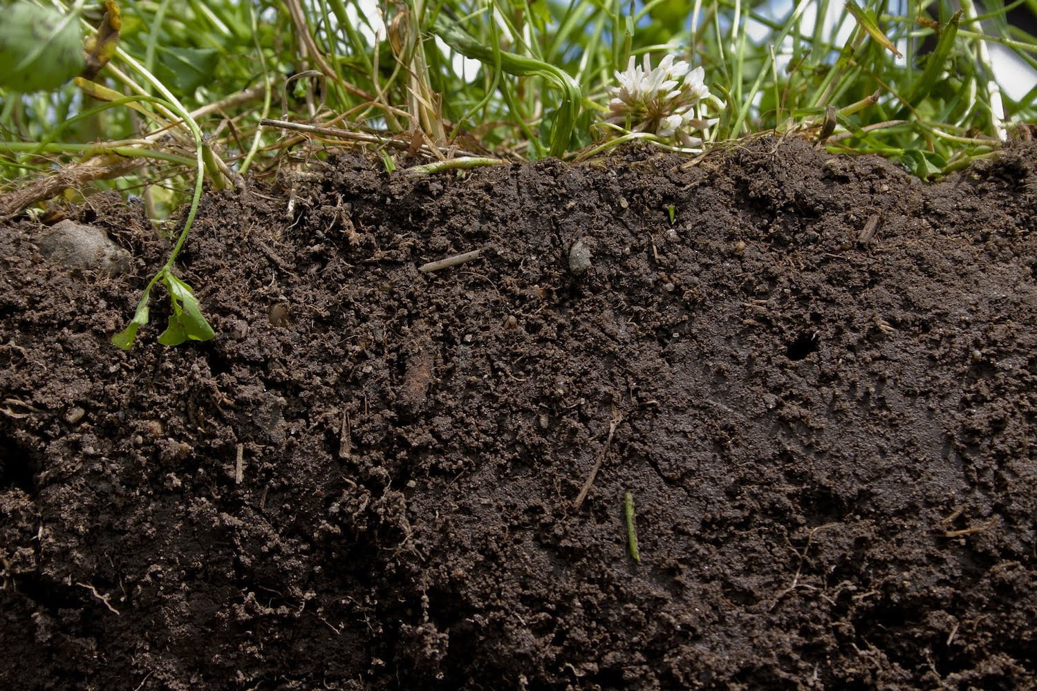 18/11/21 – Climate Change – Can Regenerating Soils and Landscapes Save the Day?