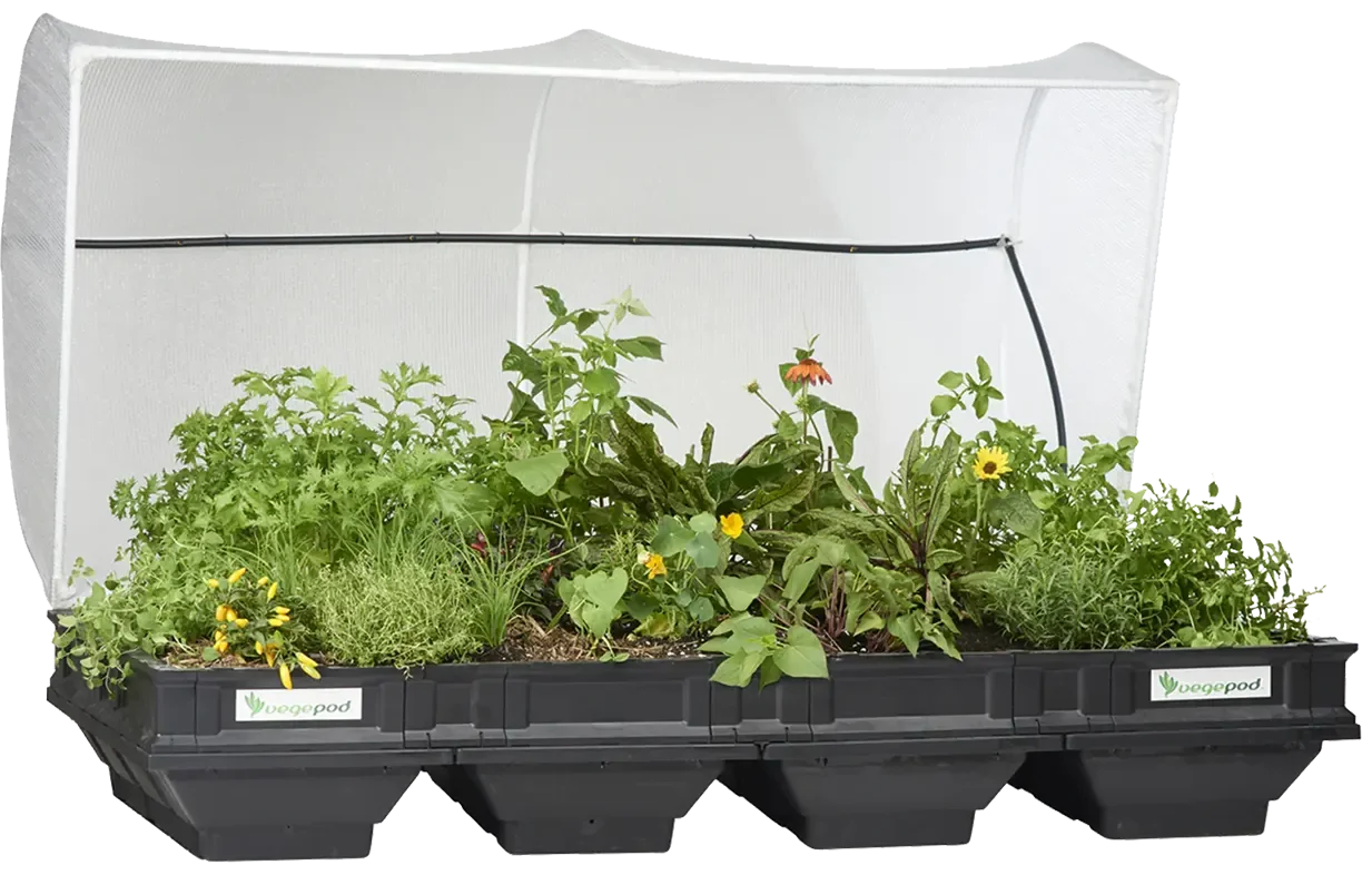 Product profile: Pods for veggies
